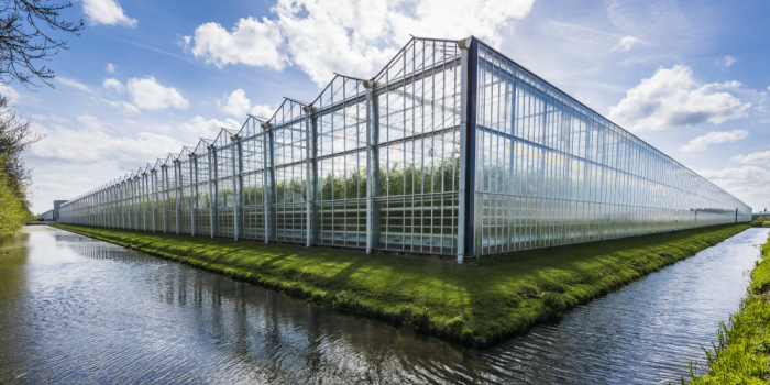 Why Location and Orientation of Your Greenhouse Matter